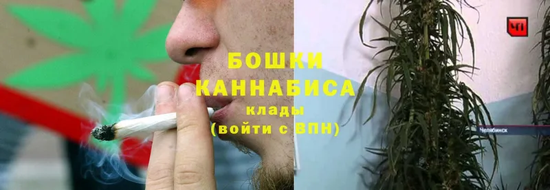 Канабис Amnesia  мега   Лосино-Петровский 